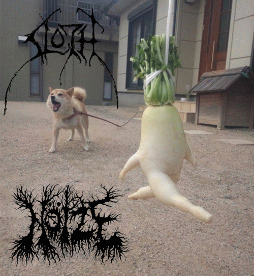 Nöize : Sloth - Nöize